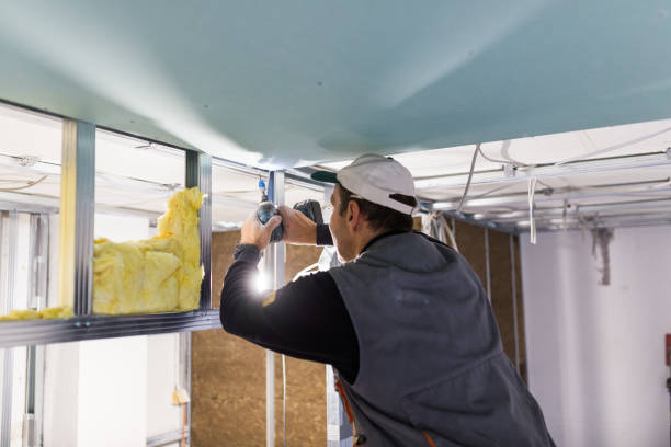 Best Energy Efficiency Insulation in Ashwaubenon, WI