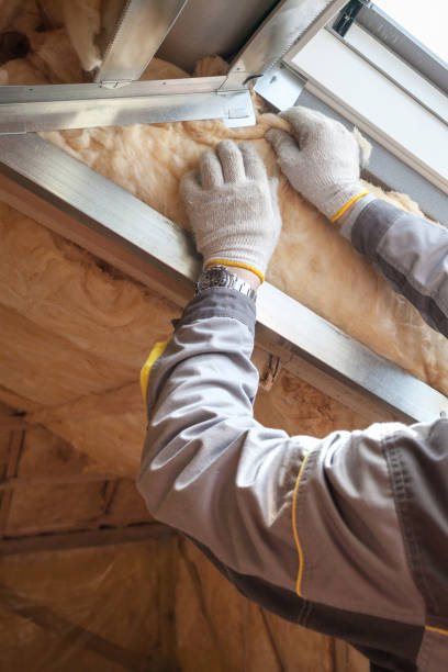 Best Residential Insulation in Ashwaubenon, WI